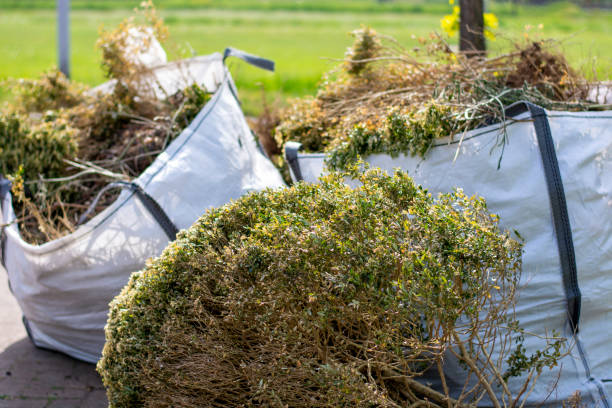 Best Retail Junk Removal  in Rockwell City, IA